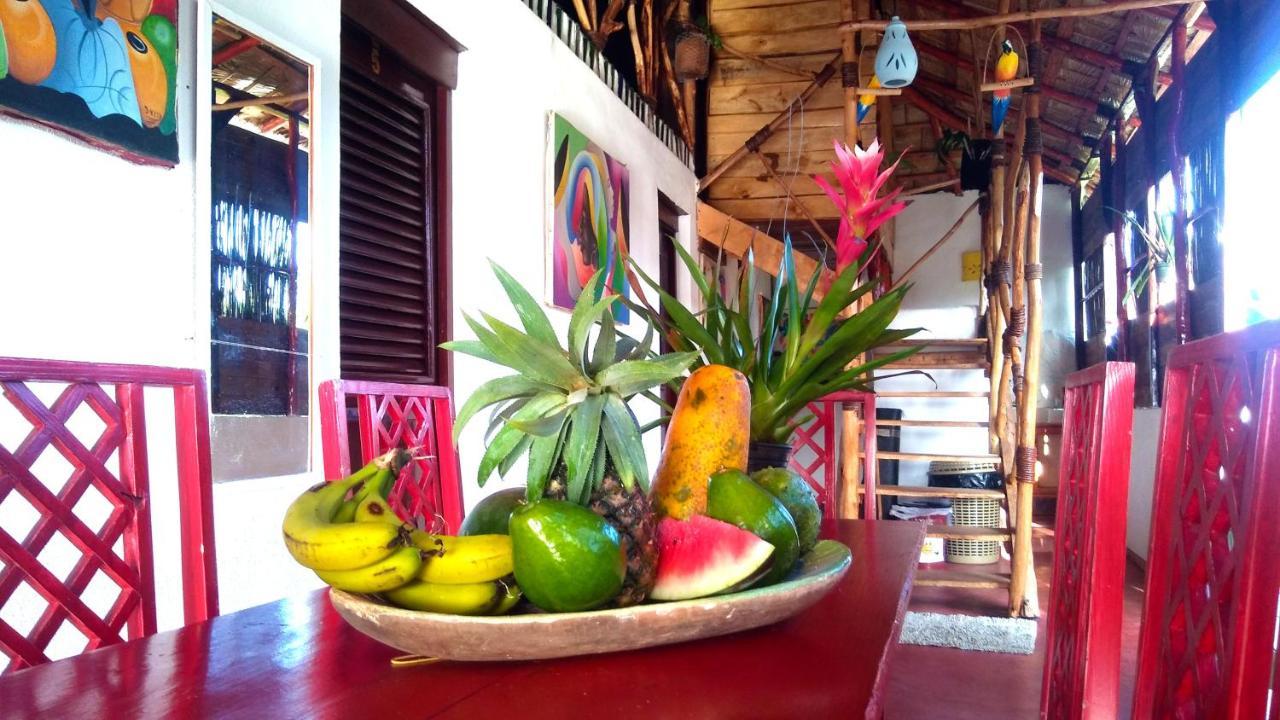 Hostel La Ballena Backpacker Las Galeras Exterior photo